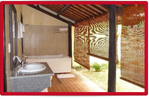 Plants: image 1 0f 4 thumb